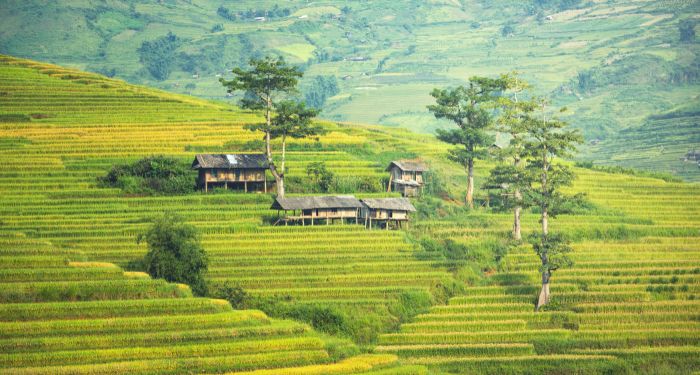 Sapa trek tour with homestay 3 days 4 nights